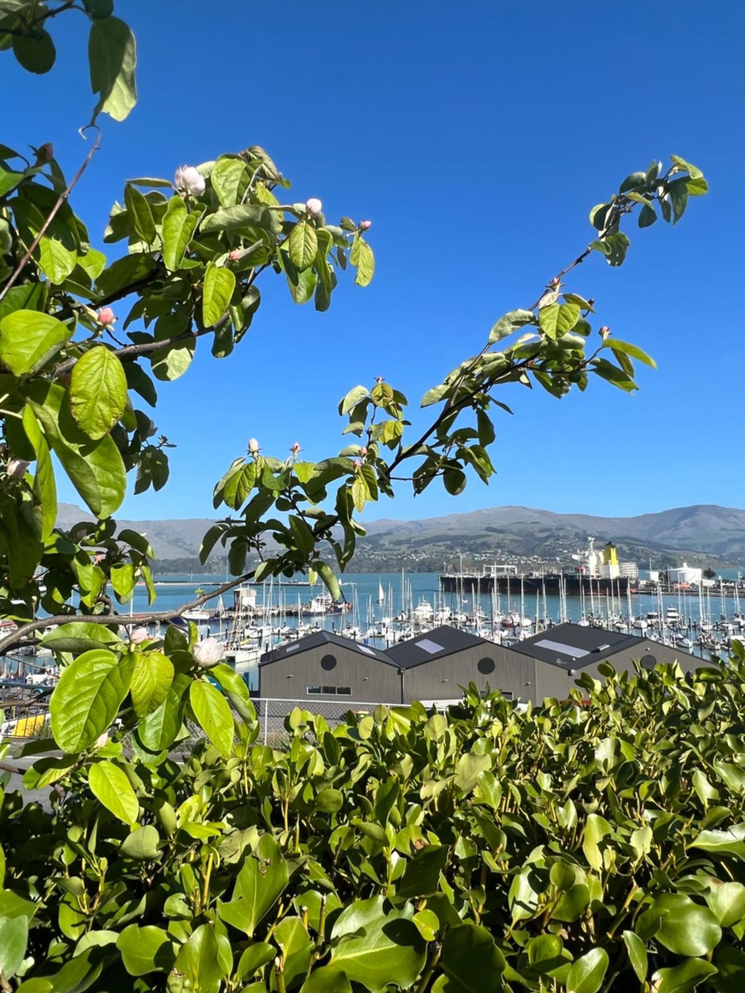 Sea Views In Luxury At Lyttelton Boatique House - 14 Km From Christchurch Dış mekan fotoğraf