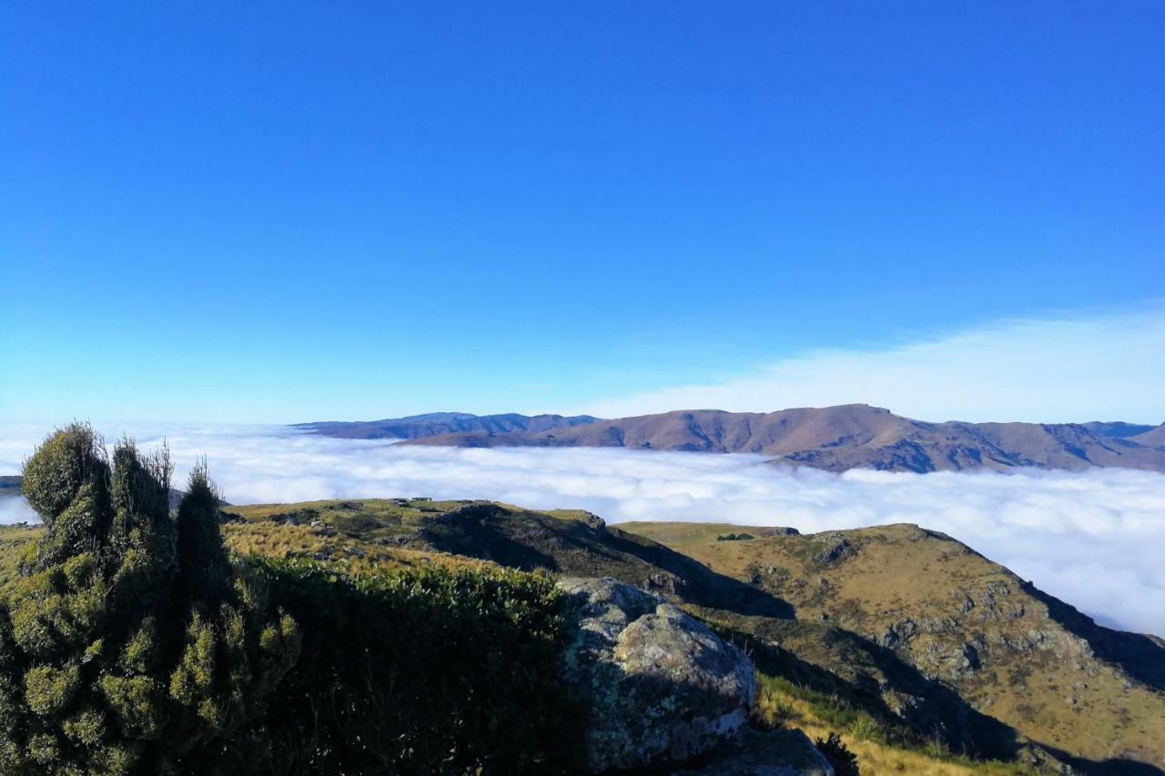 Sea Views In Luxury At Lyttelton Boatique House - 14 Km From Christchurch Dış mekan fotoğraf